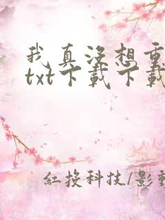 我真没想重生啊txt下载下载