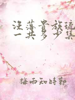 没落贵族琉璃川一共多少集