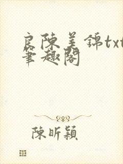 良陈美锦txt笔趣阁