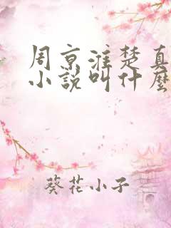 周京淮楚真原著小说叫什么名字