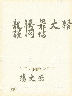 龙腾最大精品小说网站