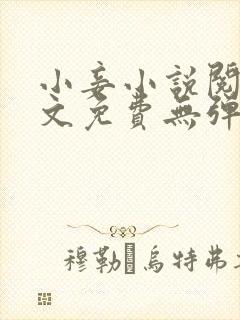 小妾小说阅读全文免费无弹窗