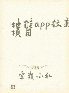 地推app拉新项目