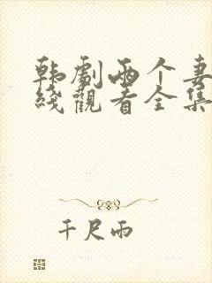 韩剧两个妻子在线观看全集免费