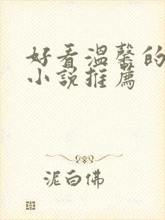 好看温馨的清穿小说推荐