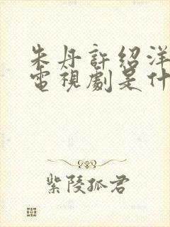 朱丹许绍洋拍的电视剧是什么名字