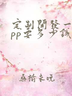 定制开发一个app要多少钱