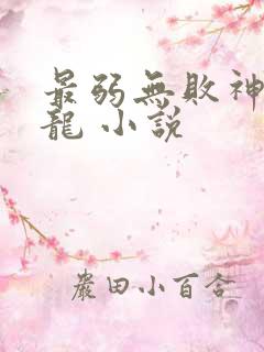 最弱无败神装机龙 小说