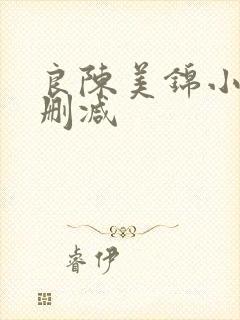 良陈美锦小说无删减