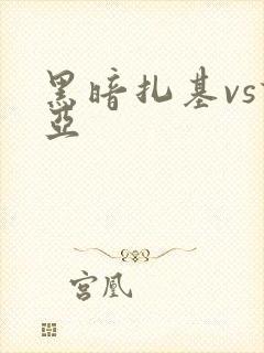 黑暗扎基vs诺亚