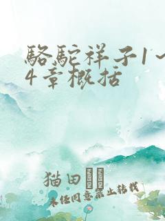 骆驼祥子1～24章概括