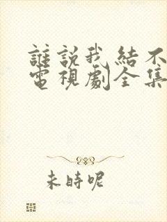 谁说我结不了婚电视剧全集免费