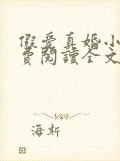 假爱真婚小说免费阅读全文