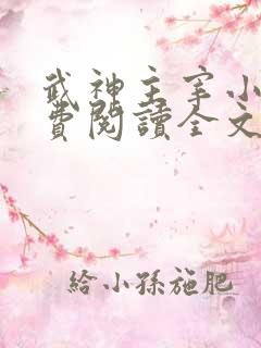 武神主宰小说免费阅读全文无窗口