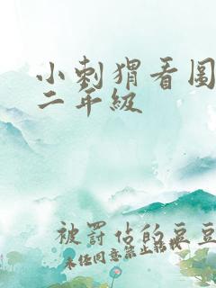 小刺猬看图写话二年级