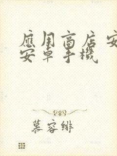 应用商店 安装安卓手机