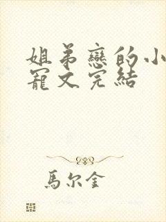 姐弟恋的小说甜宠文完结