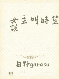 女主叫时笙的小说