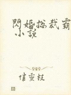 闪婚总裁霸道宠 小说