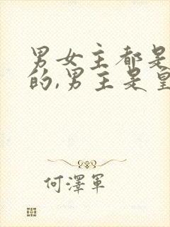 男女主都是穿越的,男主是皇上