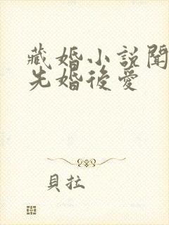 藏婚小说闻落叶先婚后爱