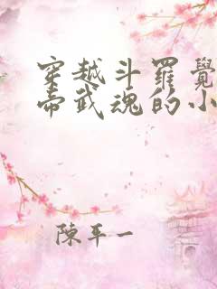 穿越斗罗觉醒雷帝武魂的小说