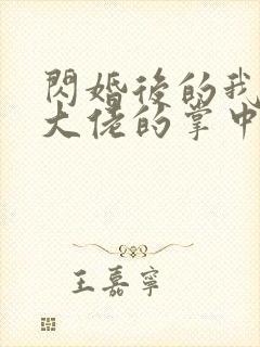 闪婚后的我成了大佬的掌中之物