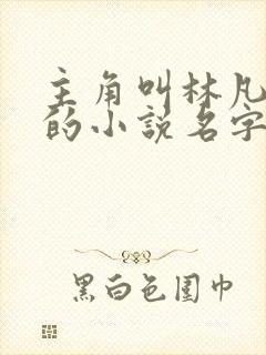 主角叫林凡叶惜的小说名字