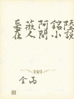 采薇阿铭陆三平在人间小说