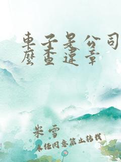 车子是公司户怎么查违章