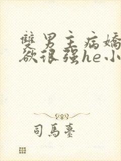 双男主病娇占有欲很强he小说