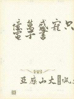 亿万盛宠只为你电子书