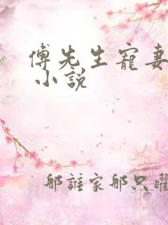 傅先生宠妻无度 小说