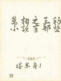 万相之王的同人小说有那些