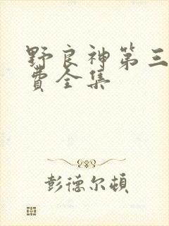 野良神第三季免费全集