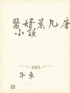 医婿叶凡唐若雪 小说