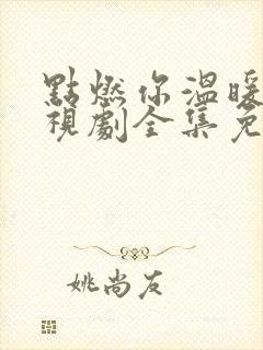 点燃你温暖我电视剧全集免费观看