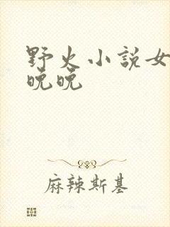 野火小说女主林晚晚