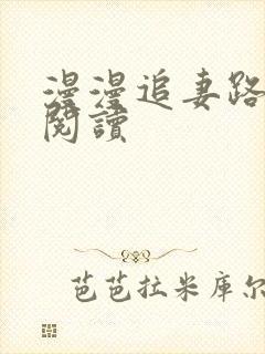 漫漫追妻路免费阅读