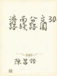 济南公交306路线路图