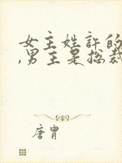 女主姓许的小说,男主是总裁