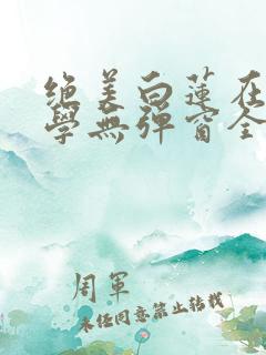 绝美白莲在线教学无弹窗全文免费阅读