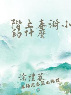 阶上春漪小说讲的什么