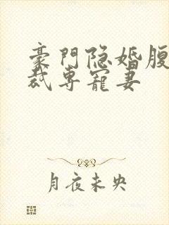 豪门隐婚腹黑总裁专宠妻