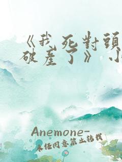 《我死对头终于破产了》 小说