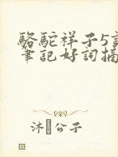 骆驼祥子5读书笔记好词摘抄