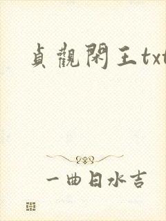 贞观闲王txt