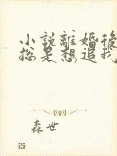 小说离婚后前夫总是想追我免费阅读