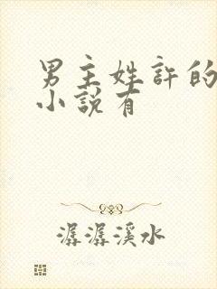 男主姓许的穿越小说有