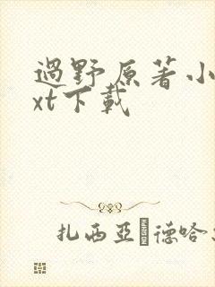 过野原著小说txt下载